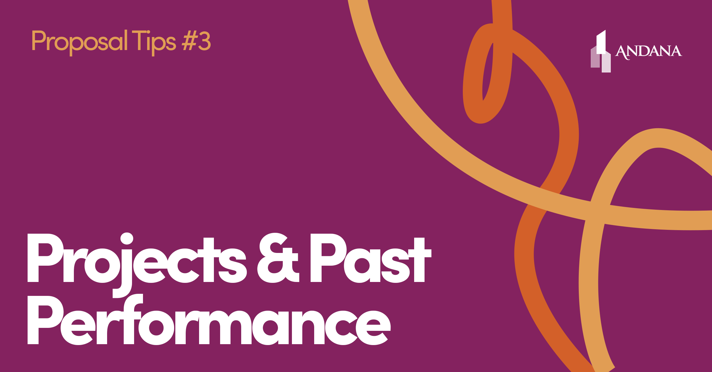 Proposal Tips – Projects and Past Performance