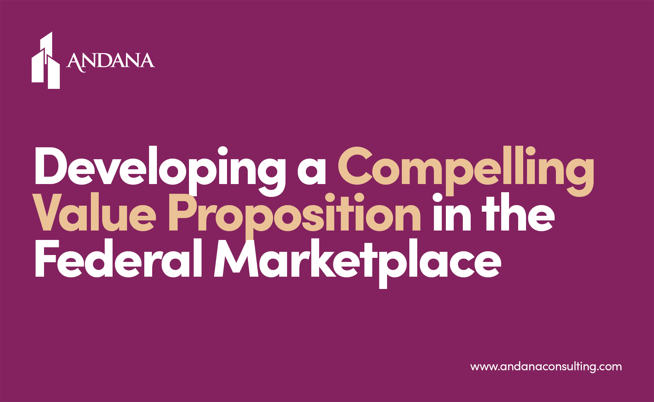 Developing a Compelling Value Proposition in the Federal Marketplace