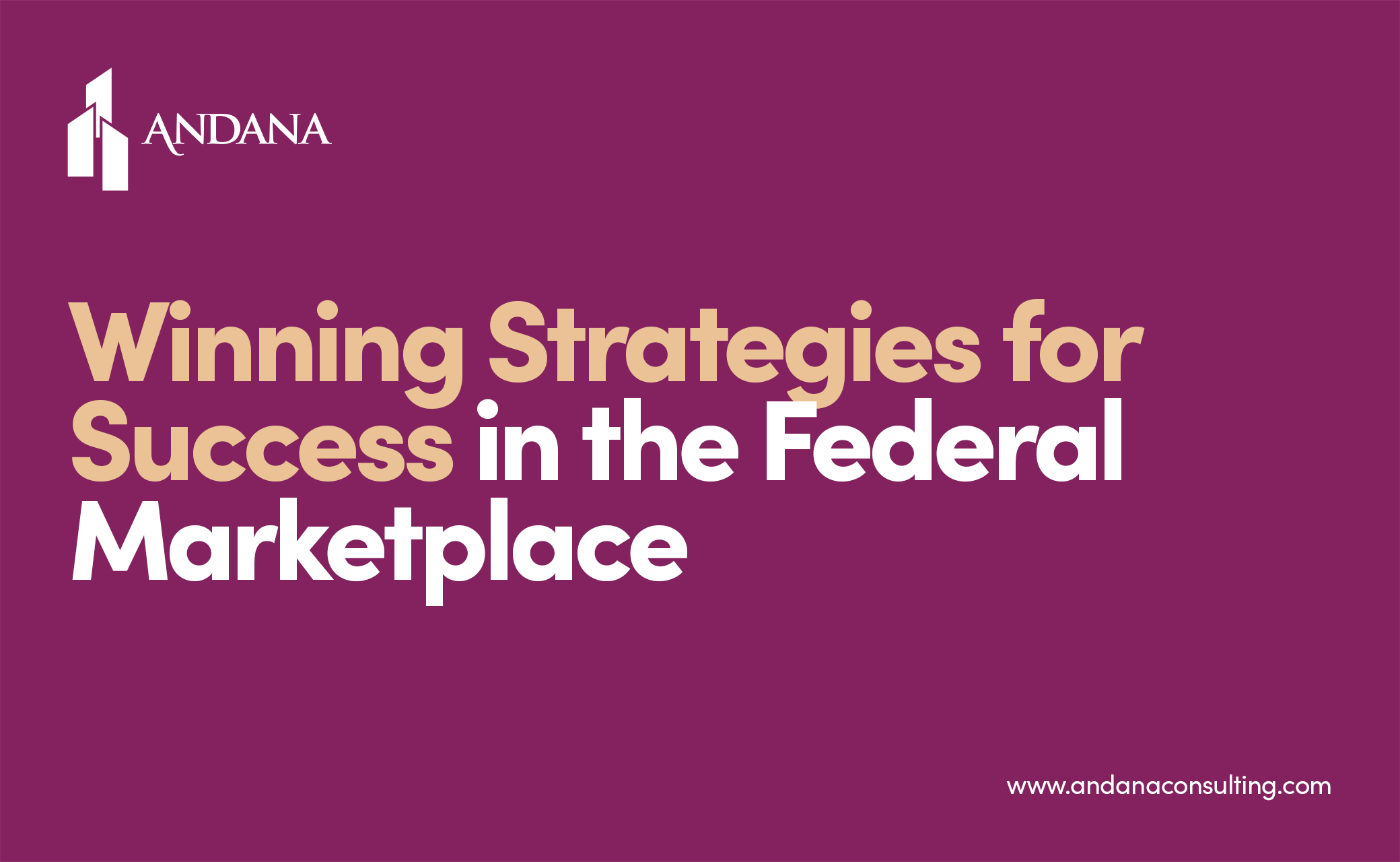 Winning Strategies for Success in the Federal Marketplace