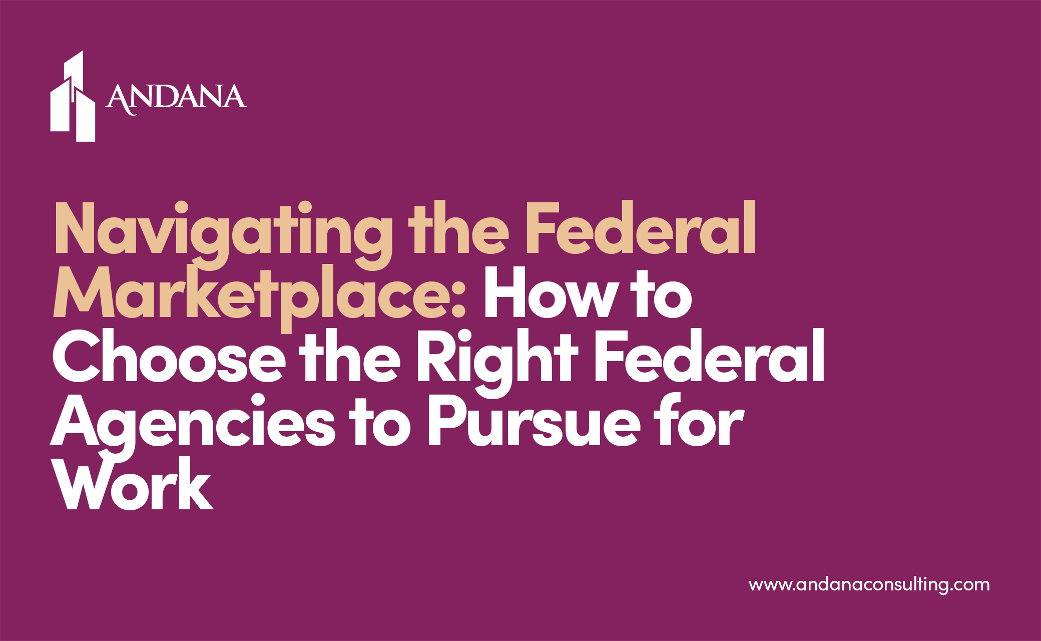 Navigating the Federal Marketplace: How to Choose the Right Federal Agencies to Pursue for Work